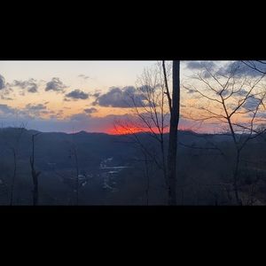 Meet your Posher, Sasha